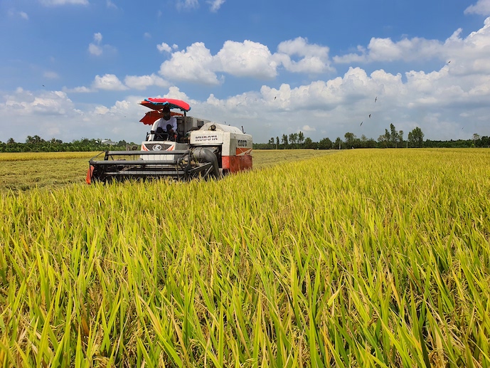 AI NEWS - Nền tảng tin tức chứng khoán