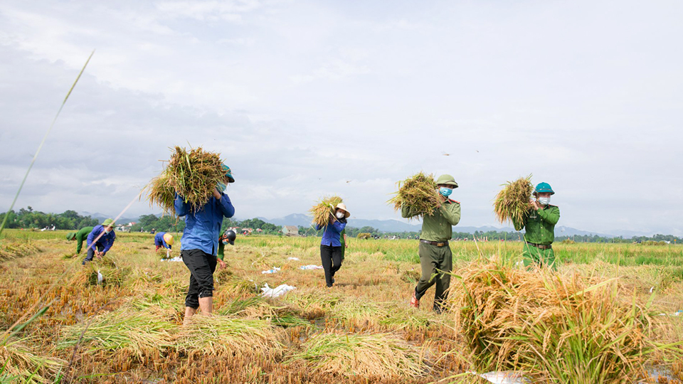 AI NEWS - Nền tảng tin tức chứng khoán