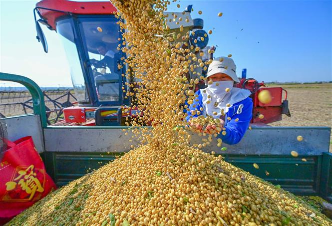 AI NEWS - Nền tảng tin tức chứng khoán