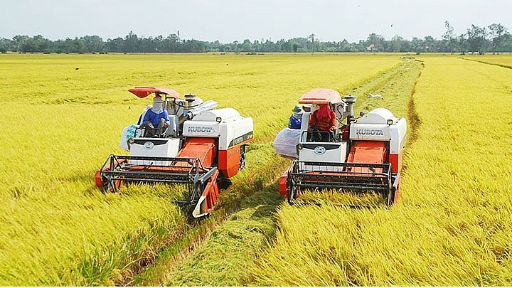 AI NEWS - Nền tảng tin tức chứng khoán
