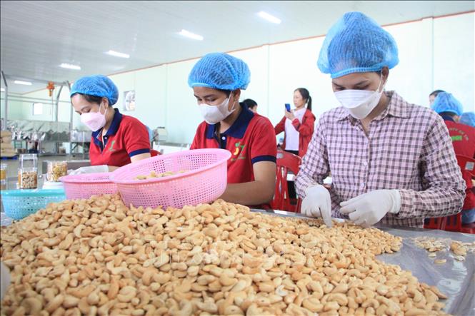 AI NEWS - Nền tảng tin tức chứng khoán
