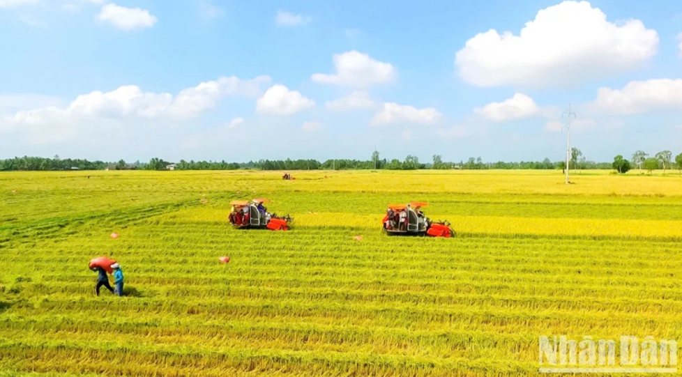 AI NEWS - Nền tảng tin tức chứng khoán