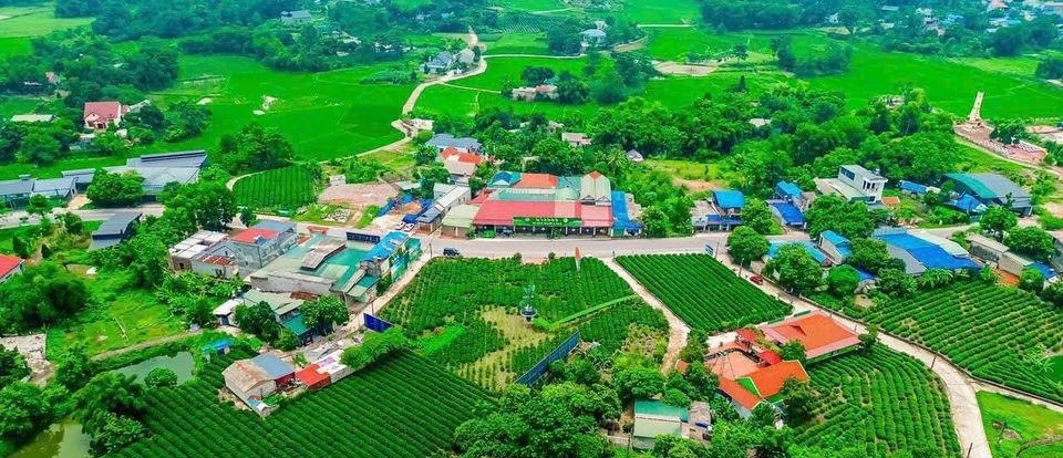 AI NEWS - Nền tảng tin tức chứng khoán