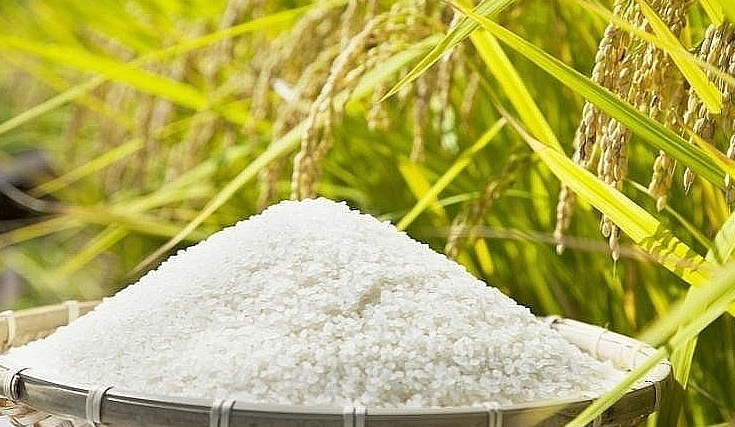 AI NEWS - Nền tảng tin tức chứng khoán