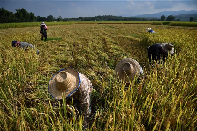 AI NEWS - Nền tảng tin tức chứng khoán