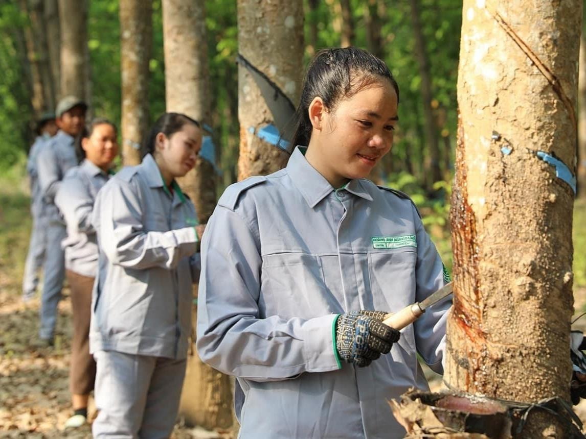 AI NEWS - Nền tảng tin tức chứng khoán
