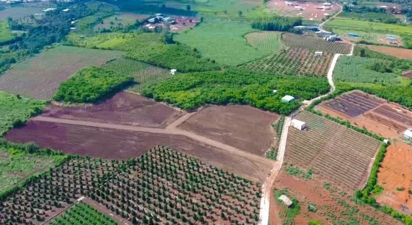 AI NEWS - Nền tảng tin tức chứng khoán