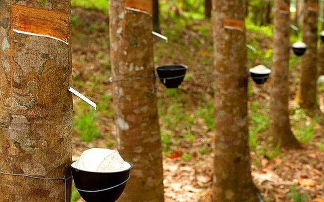 AI NEWS - Nền tảng tin tức chứng khoán