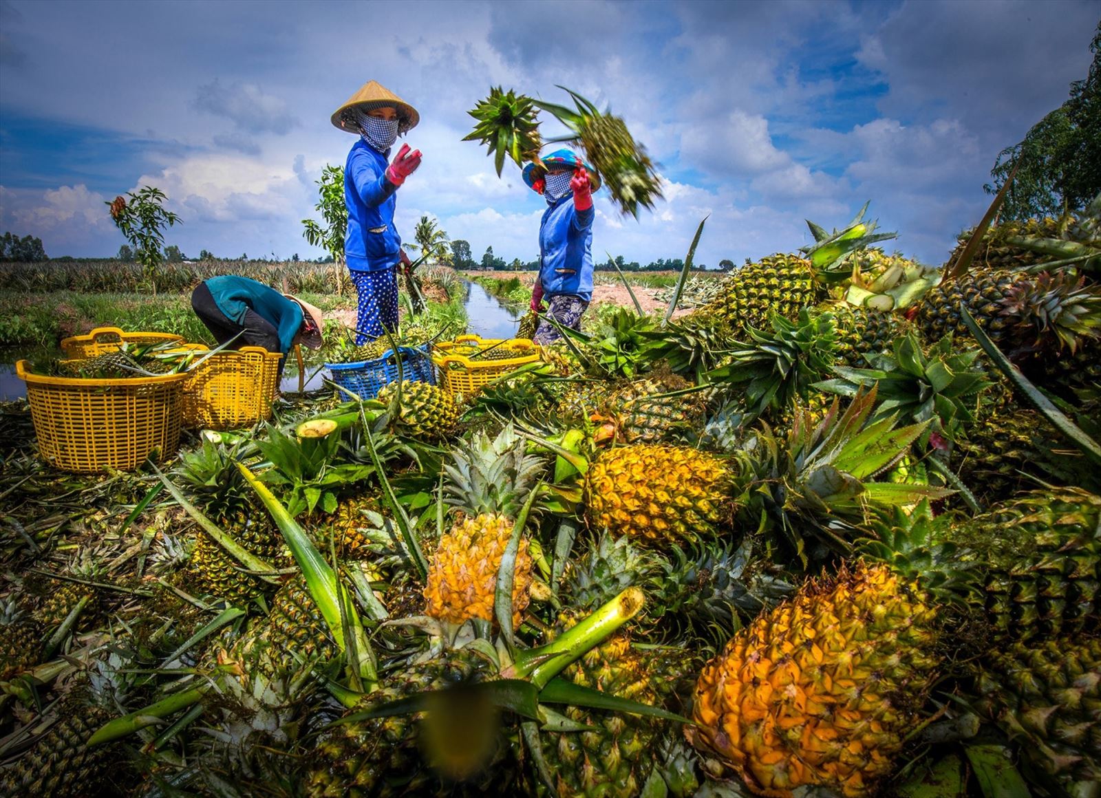 AI NEWS - Nền tảng tin tức chứng khoán