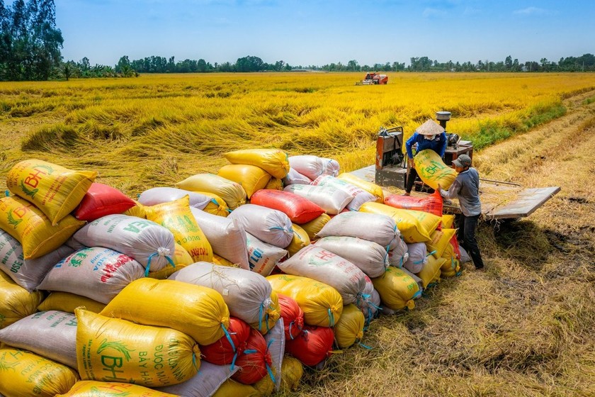 AI NEWS - Nền tảng tin tức chứng khoán