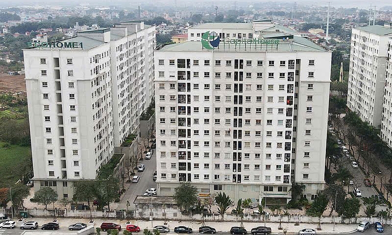 AI NEWS - Nền tảng tin tức chứng khoán