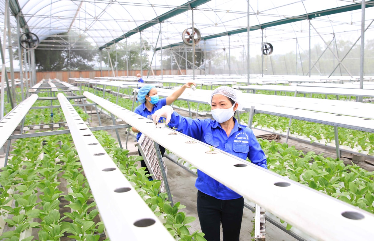AI NEWS - Nền tảng tin tức chứng khoán