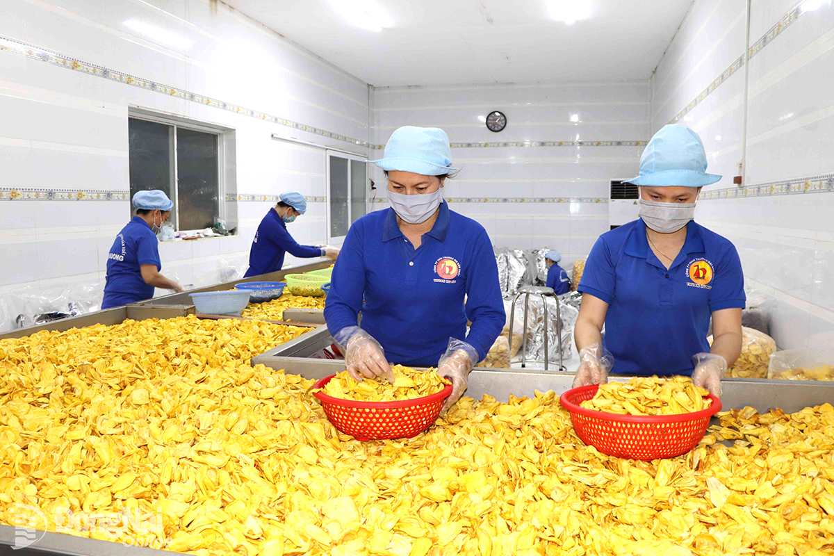 AI NEWS - Nền tảng tin tức chứng khoán