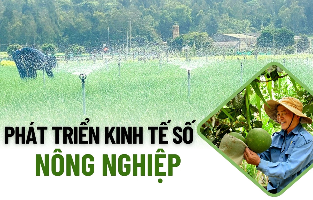AI NEWS - Nền tảng tin tức chứng khoán