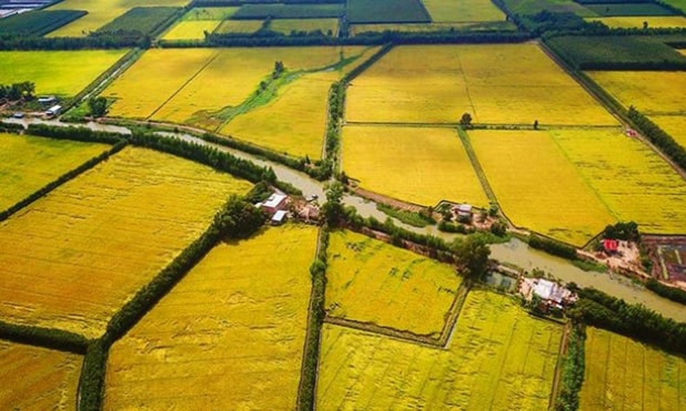 AI NEWS - Nền tảng tin tức chứng khoán