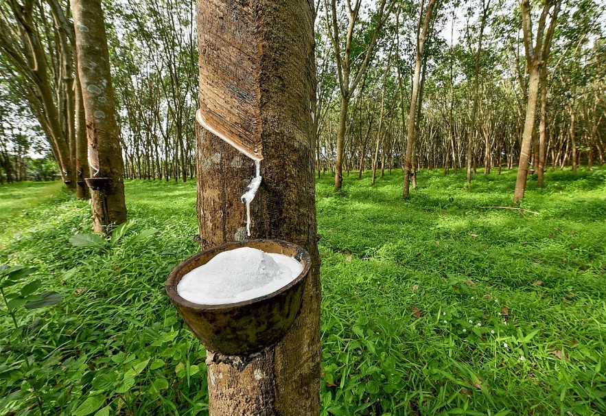 AI NEWS - Nền tảng tin tức chứng khoán