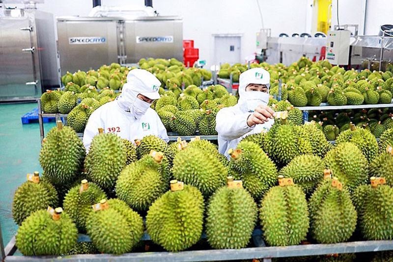 AI NEWS - Nền tảng tin tức chứng khoán