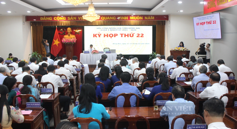 AI NEWS - Nền tảng tin tức chứng khoán
