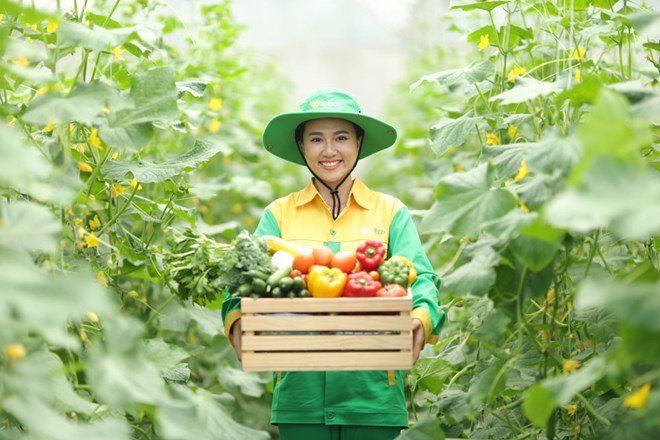 AI NEWS - Nền tảng tin tức chứng khoán
