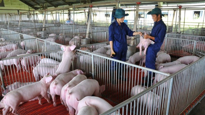 AI NEWS - Nền tảng tin tức chứng khoán