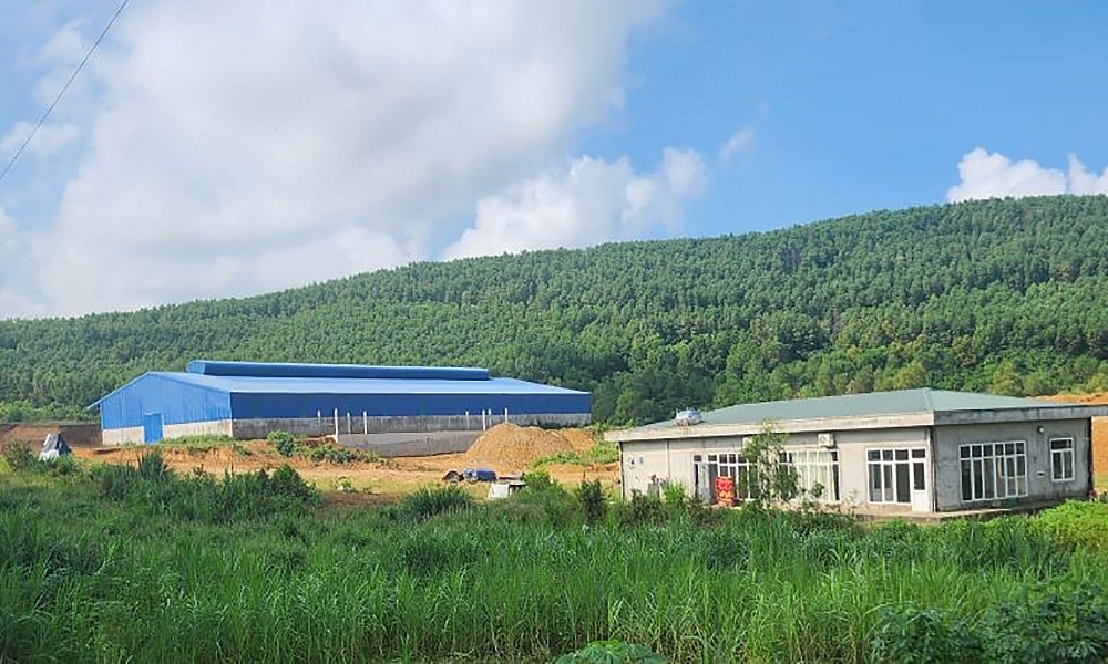 AI NEWS - Nền tảng tin tức chứng khoán