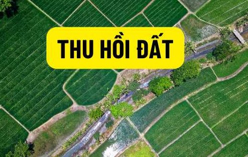 AI NEWS - Nền tảng tin tức chứng khoán