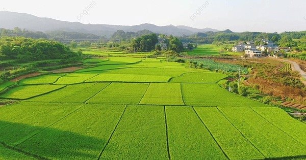 AI NEWS - Nền tảng tin tức chứng khoán
