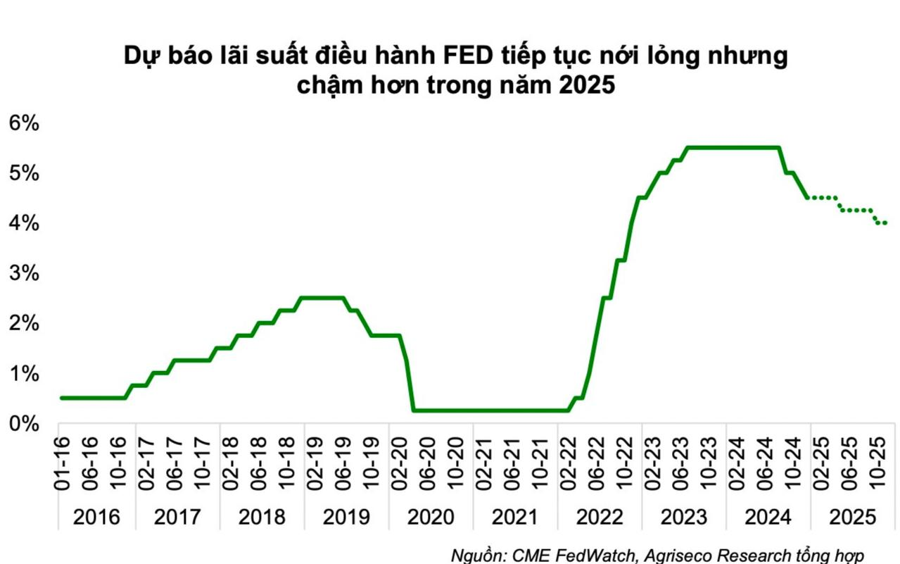 anh chup man hinh 2025 01 24 luc 21 31 18(1)