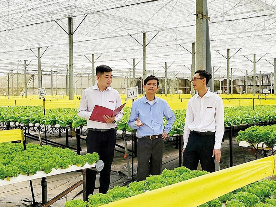 AI NEWS - Nền tảng tin tức chứng khoán