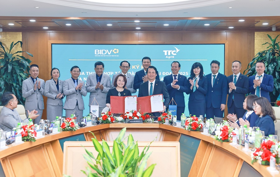 AI NEWS - Nền tảng tin tức chứng khoán
