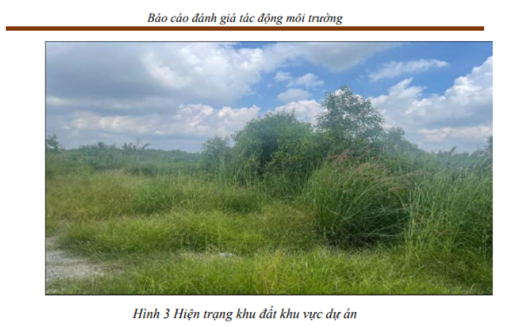 image(97)