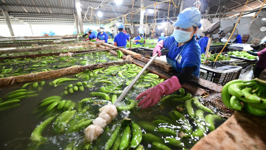 AI NEWS - Nền tảng tin tức chứng khoán