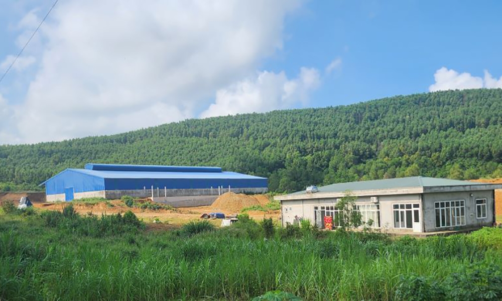 AI NEWS - Nền tảng tin tức chứng khoán