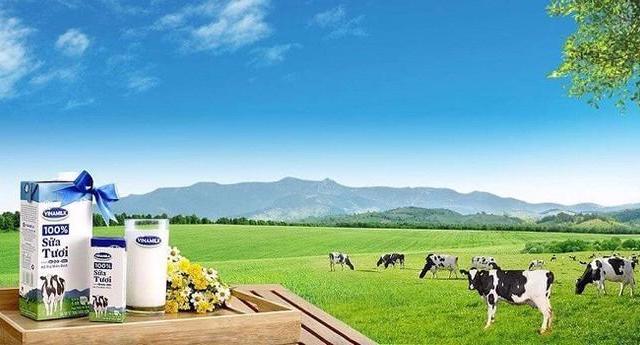AI NEWS - Nền tảng tin tức chứng khoán