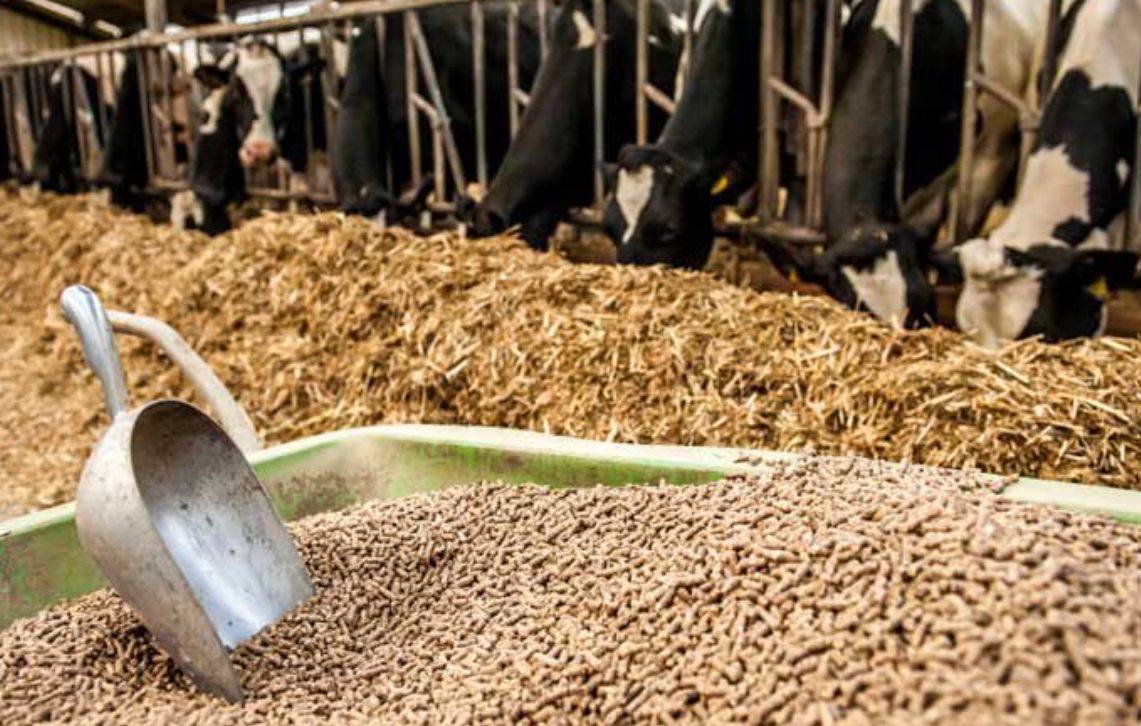AI NEWS - Nền tảng tin tức chứng khoán