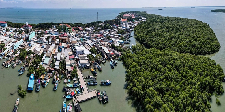 AI NEWS - Nền tảng tin tức chứng khoán