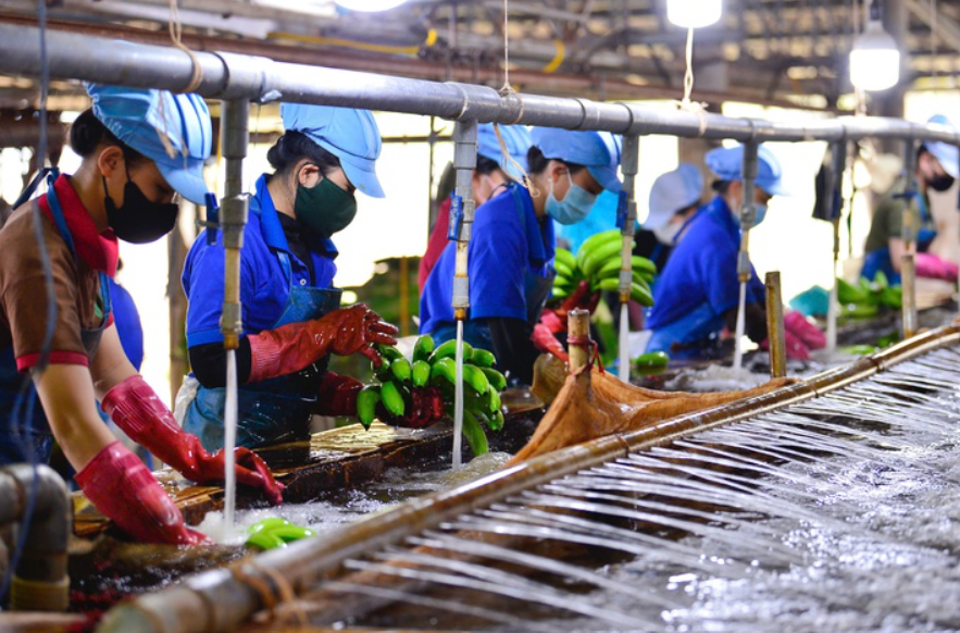 AI NEWS - Nền tảng tin tức chứng khoán