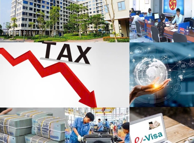 AI NEWS - Nền tảng tin tức chứng khoán