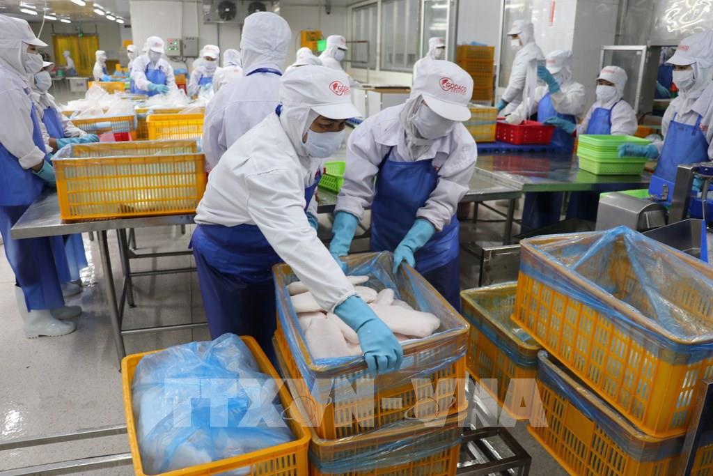 AI NEWS - Nền tảng tin tức chứng khoán