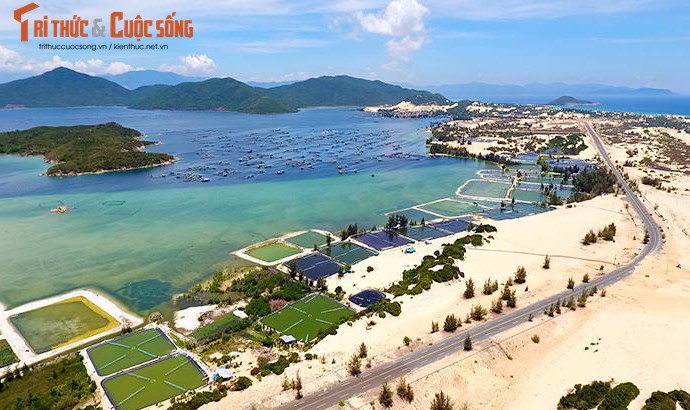 AI NEWS - Nền tảng tin tức chứng khoán