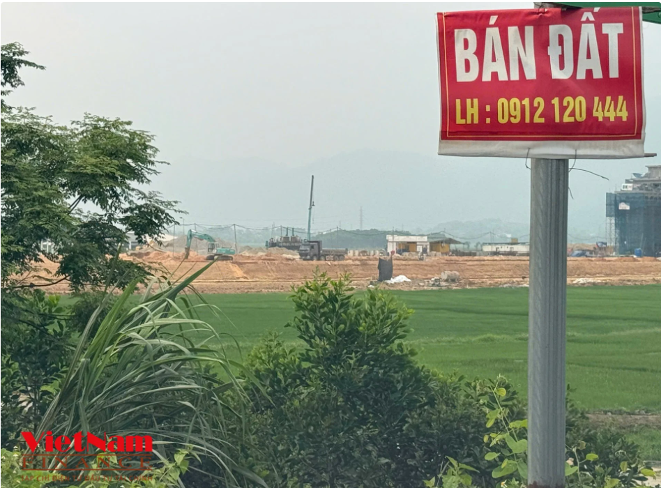 AI NEWS - Nền tảng tin tức chứng khoán