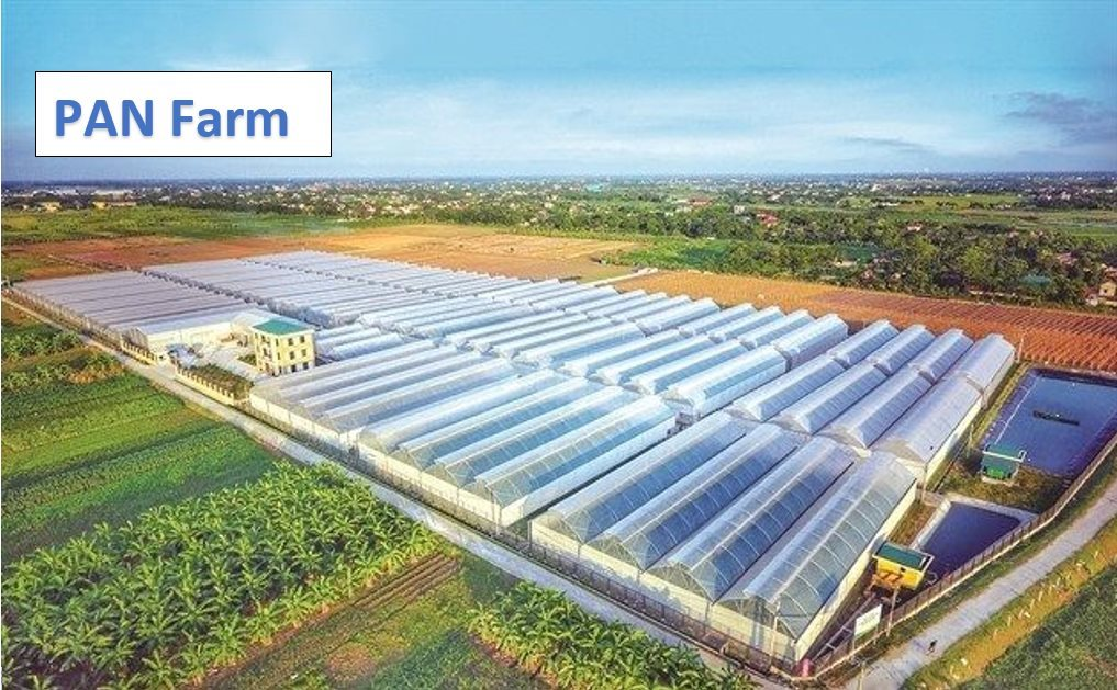 pan farm