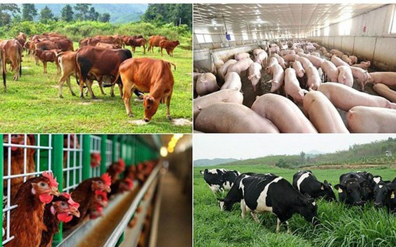 AI NEWS - Nền tảng tin tức chứng khoán