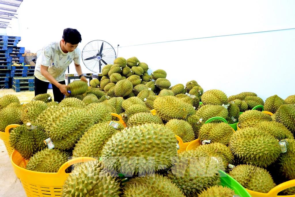 AI NEWS - Nền tảng tin tức chứng khoán