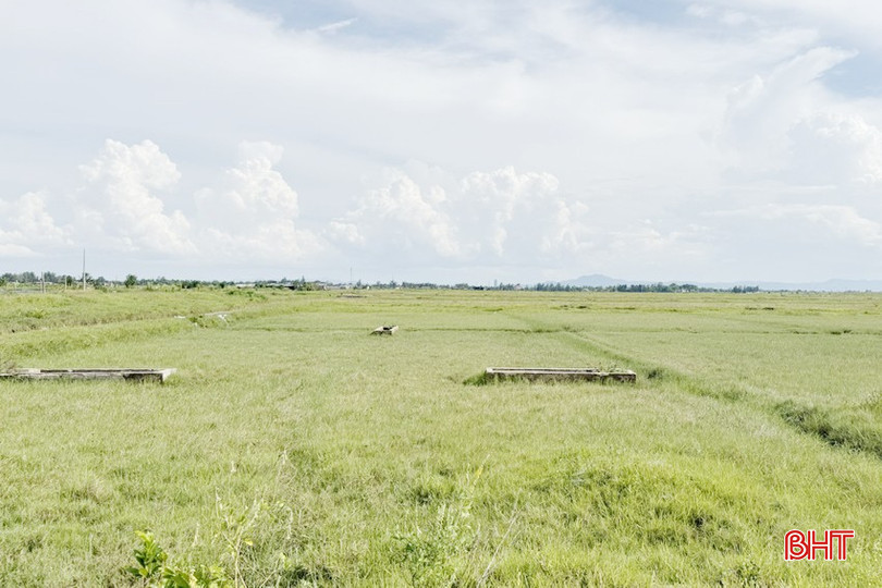 AI NEWS - Nền tảng tin tức chứng khoán