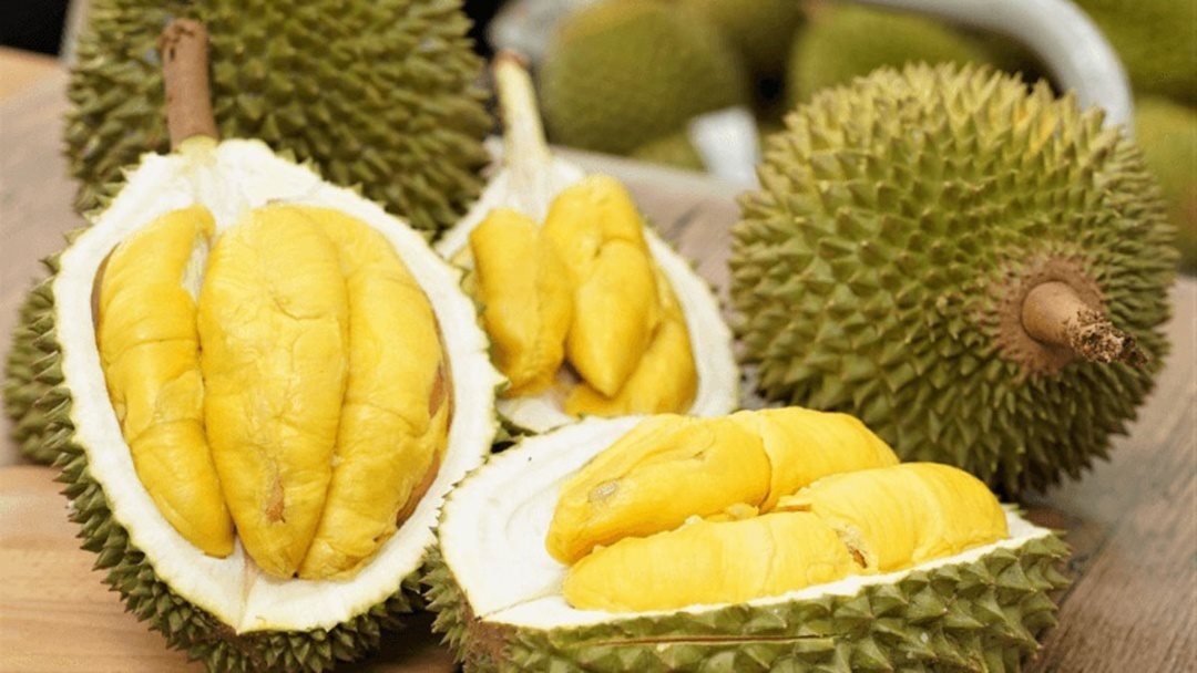 sau rieng vn%20(1)
