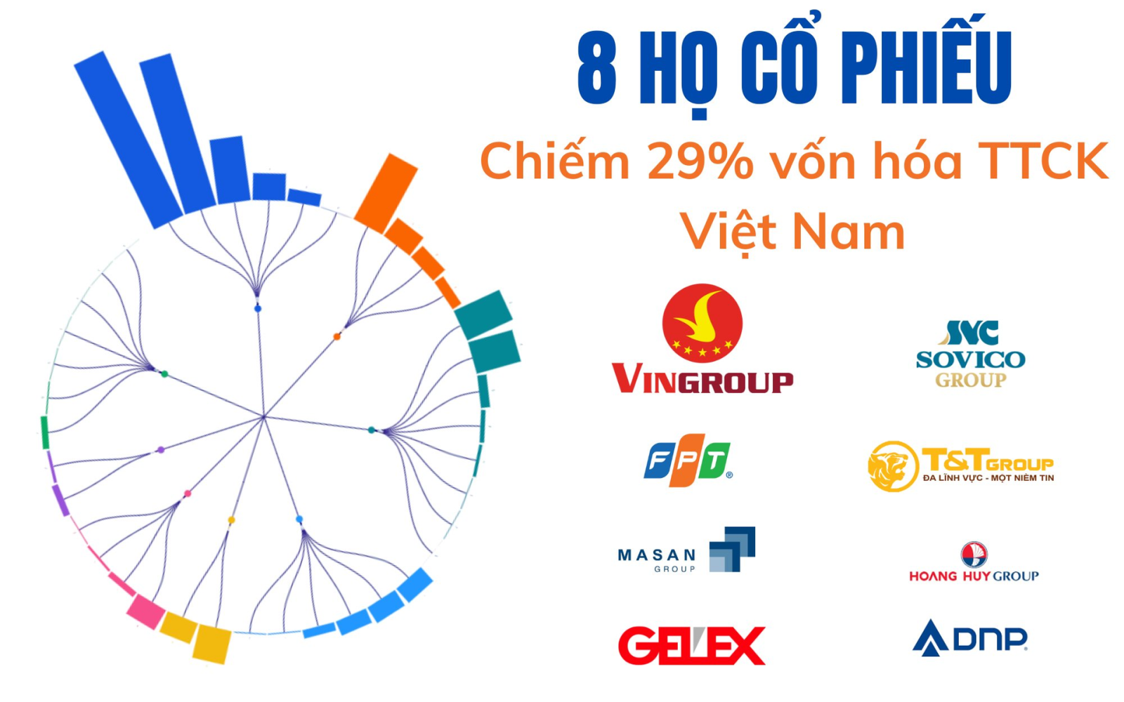 chiem 26 gia tri von hoa toan ttck viet nam 1