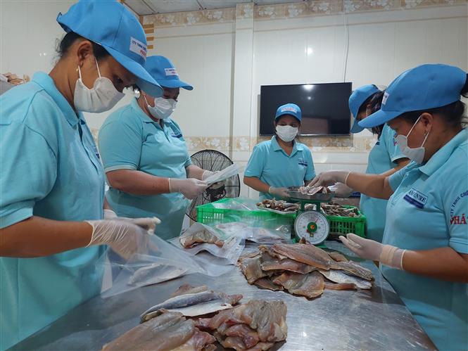 AI NEWS - Nền tảng tin tức chứng khoán