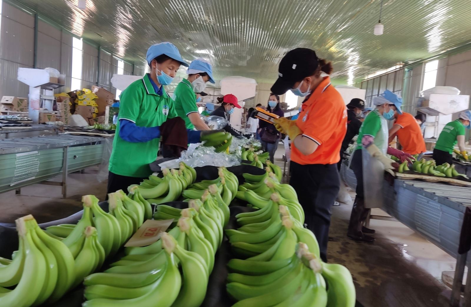AI NEWS - Nền tảng tin tức chứng khoán