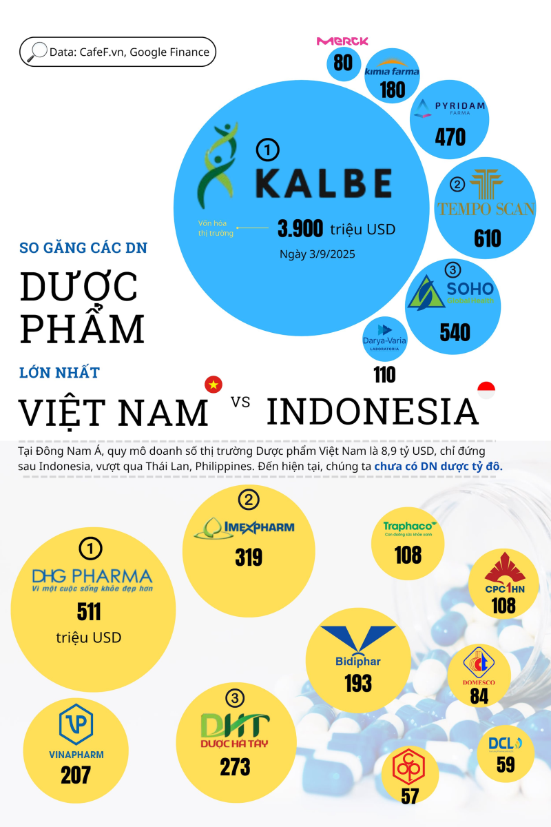 dn duoc pham
